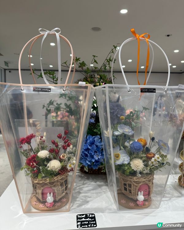 可愛😍Miffy 70 週年限定店！💐✨