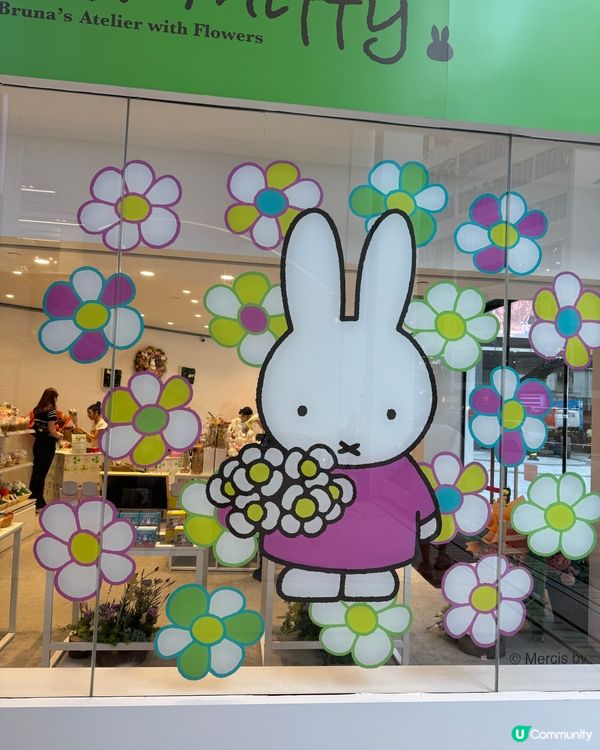 可愛😍Miffy 70 週年限定店！💐✨