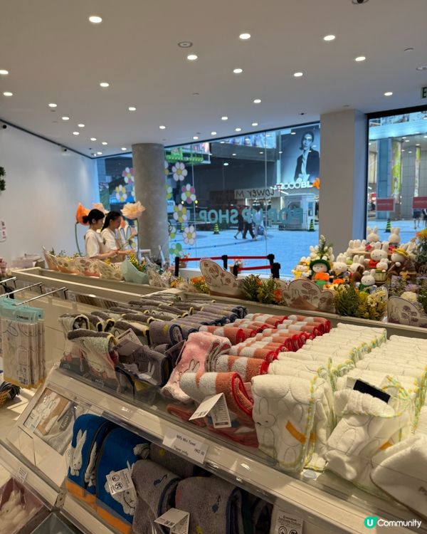 可愛😍Miffy 70 週年限定店！💐✨