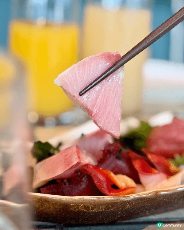 🏇沙田馬場睇賽馬享受午餐 🍱