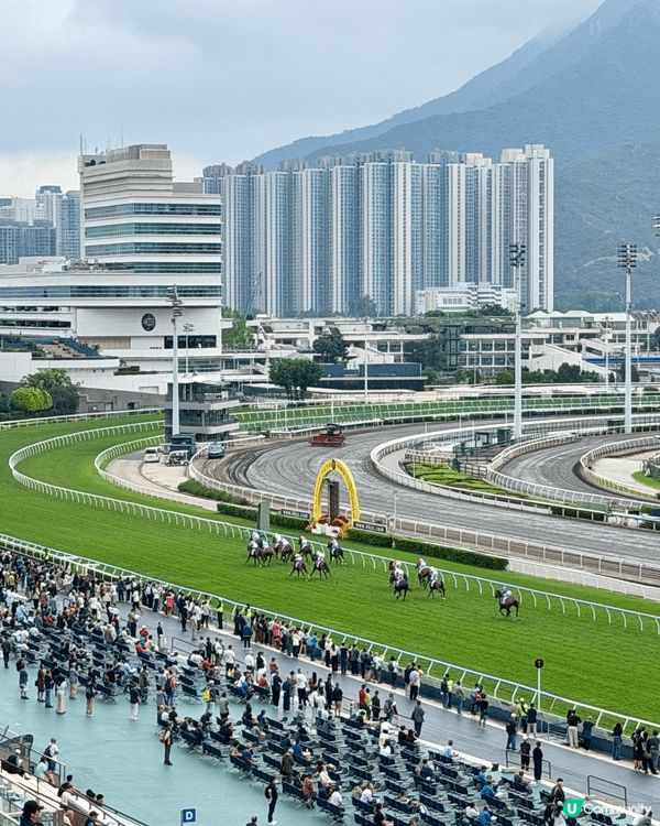 🏇沙田馬場睇賽馬享受午餐 🍱