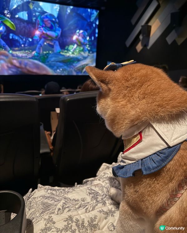 🎬紀錄一家三口入戲院睇戲🍿