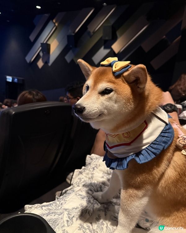 🎬紀錄一家三口入戲院睇戲🍿