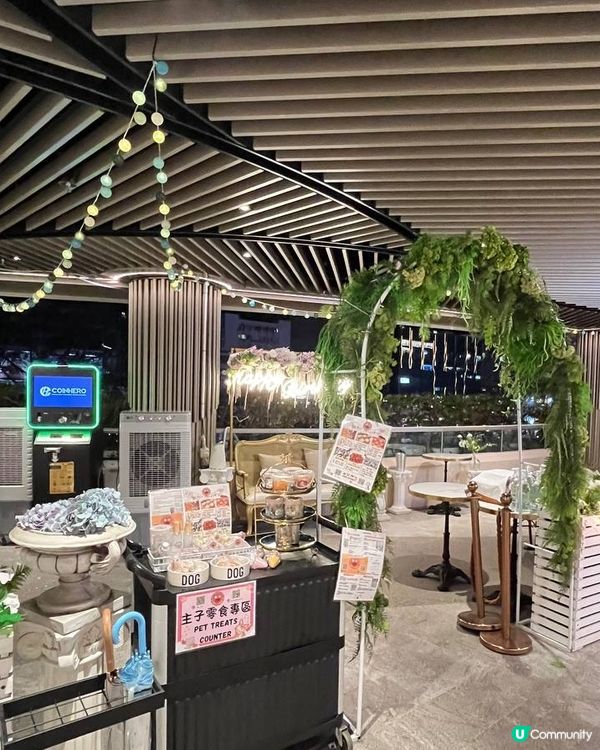 粉紅豬豬樂園 |寵物有善Cafe店🐾🐷💖