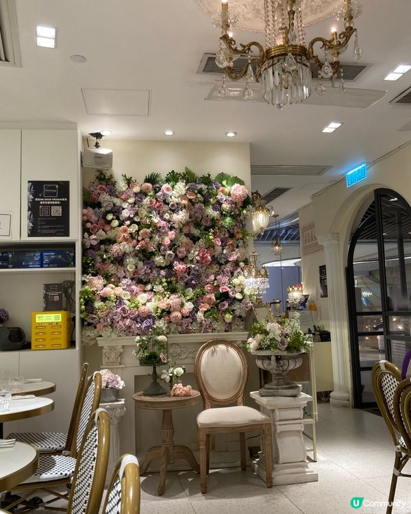 粉紅豬豬樂園 |寵物有善Cafe店🐾🐷💖