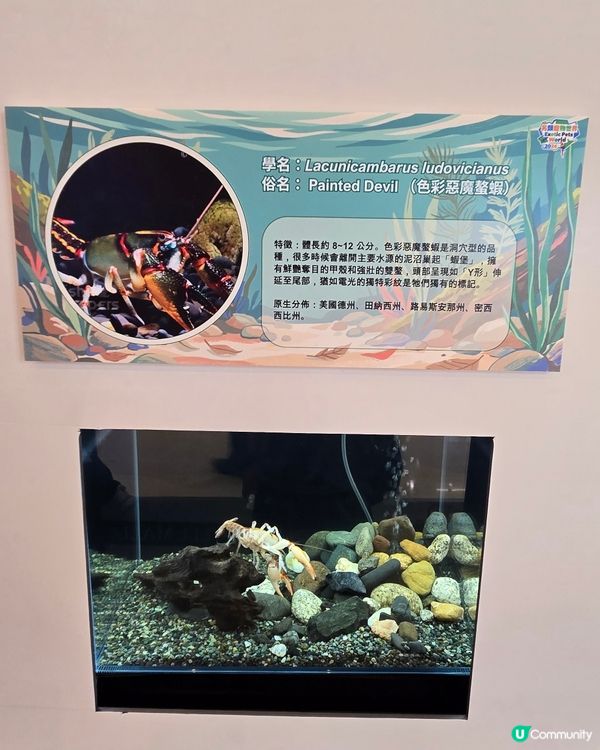 另類寵物世界
