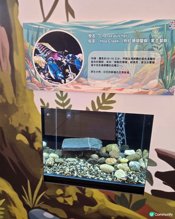 另類寵物世界