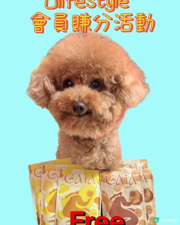 Ulifestyle會員積分優惠🤩