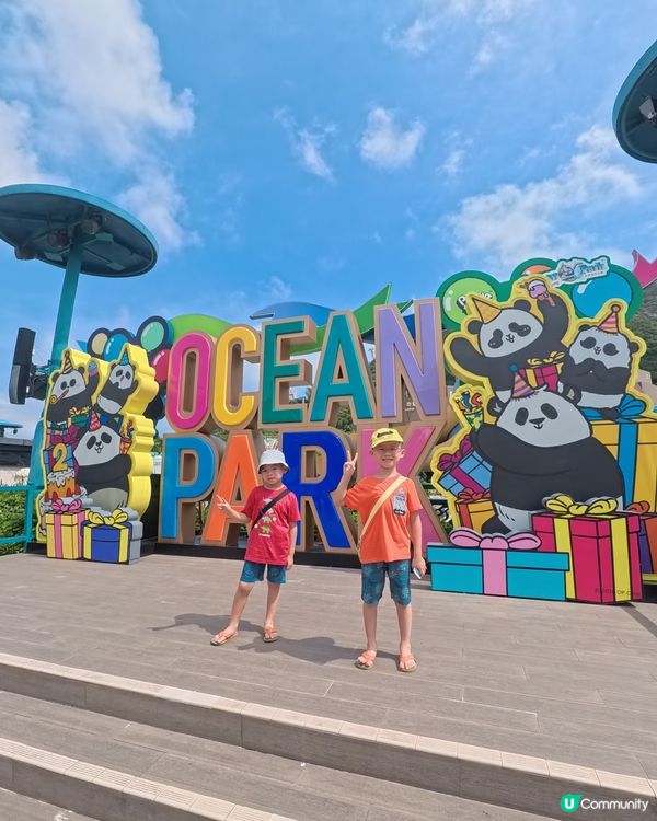 海洋公園變身熊貓樂園🐼