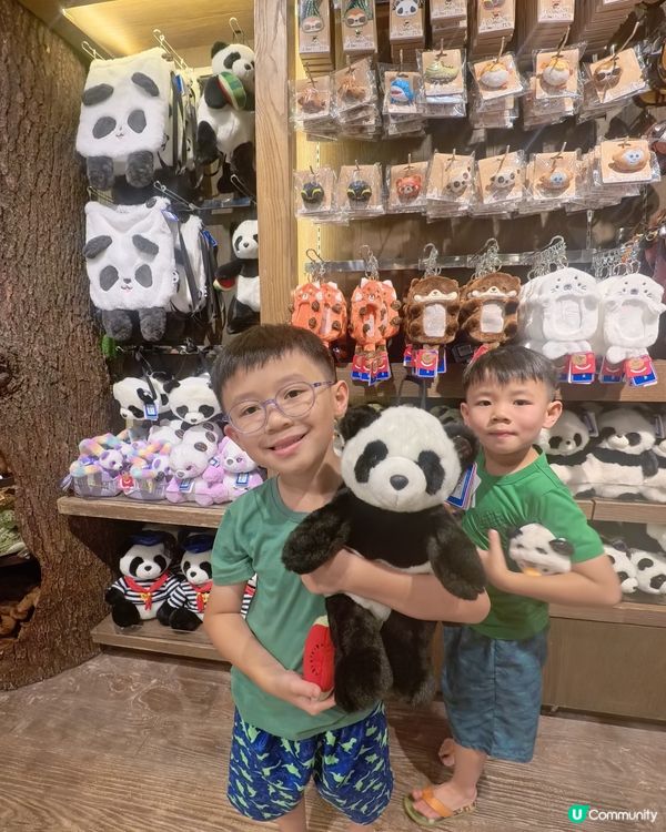 海洋公園變身熊貓樂園🐼