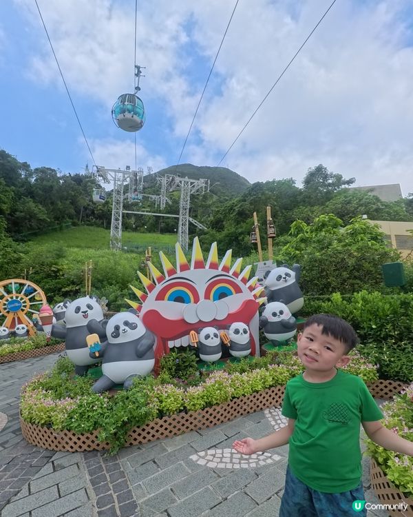 海洋公園變身熊貓樂園🐼