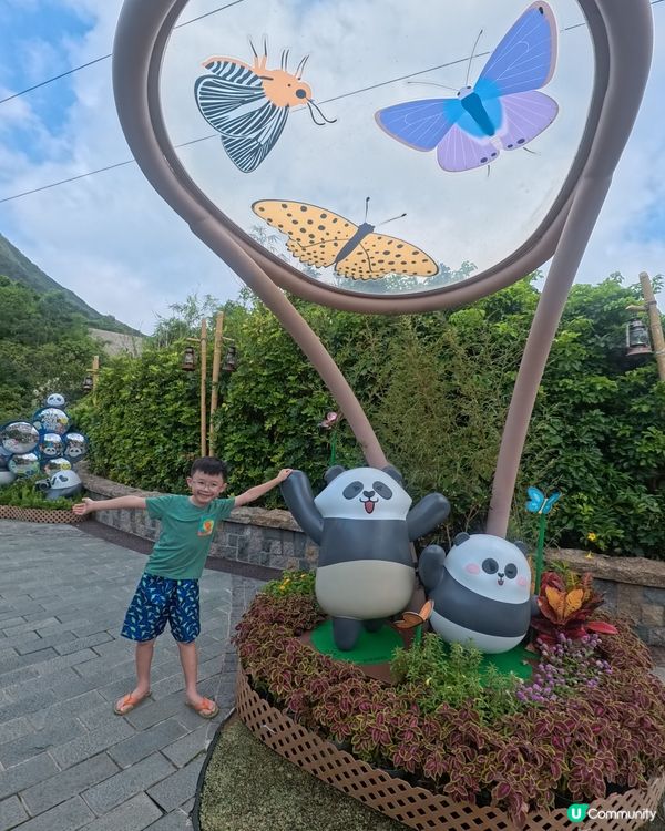 海洋公園變身熊貓樂園🐼
