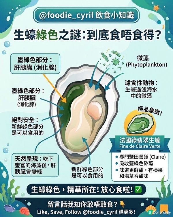 生蠔🦪入面墨綠色🟢嘅嘢，到底食唔食得🤔？
