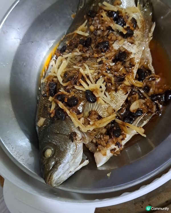 凍肉店買到的急凍寶石魚
