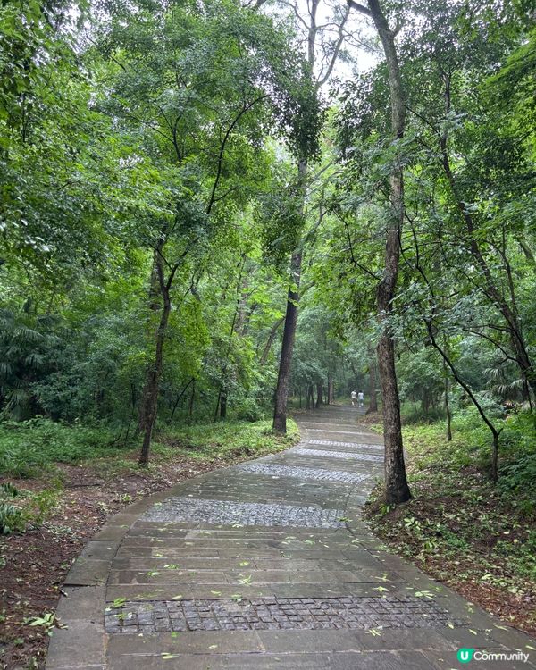 公園