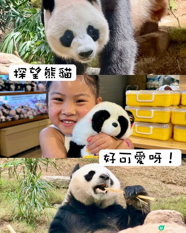 🐼熊貓生日Party  💦 #香港海洋公園