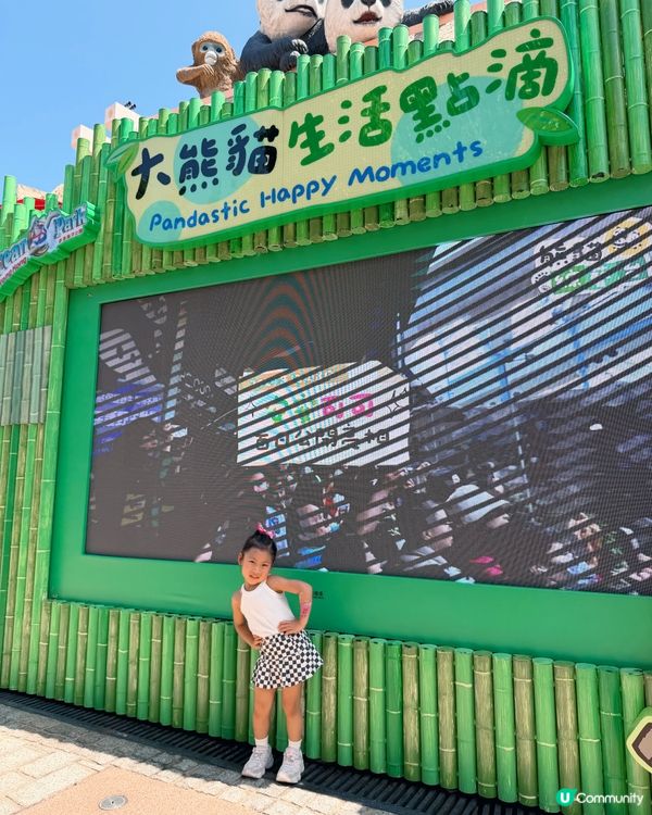 🐼熊貓生日Party  💦 #香港海洋公園