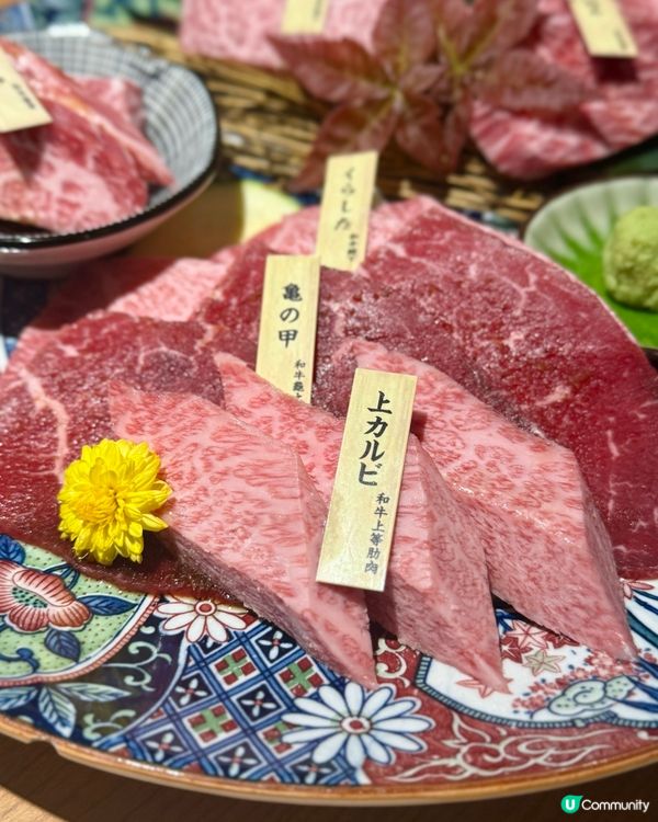 銀座人氣和牛燒肉過江龍🥩