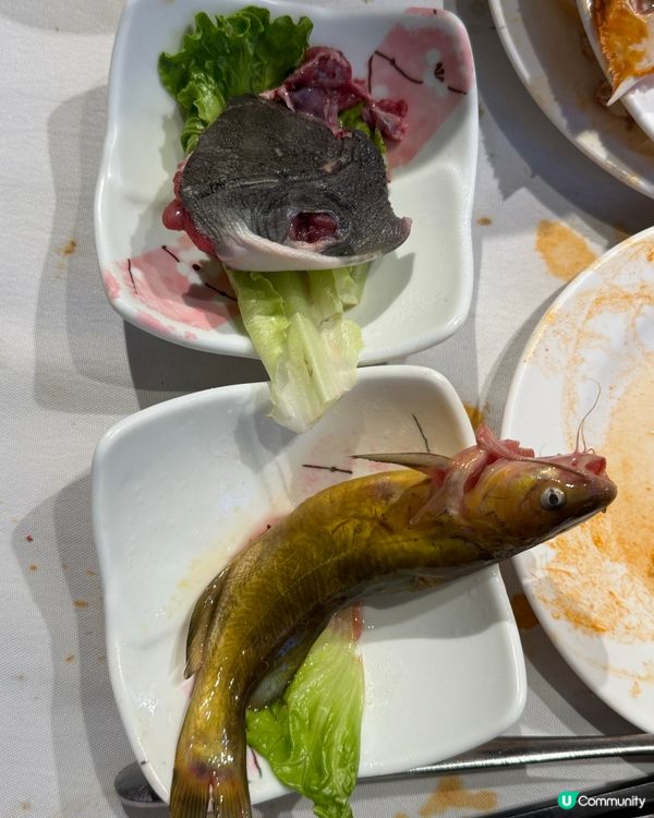 任飲任食都係158元人民幣，可以食兩小時，有遊水海鮮