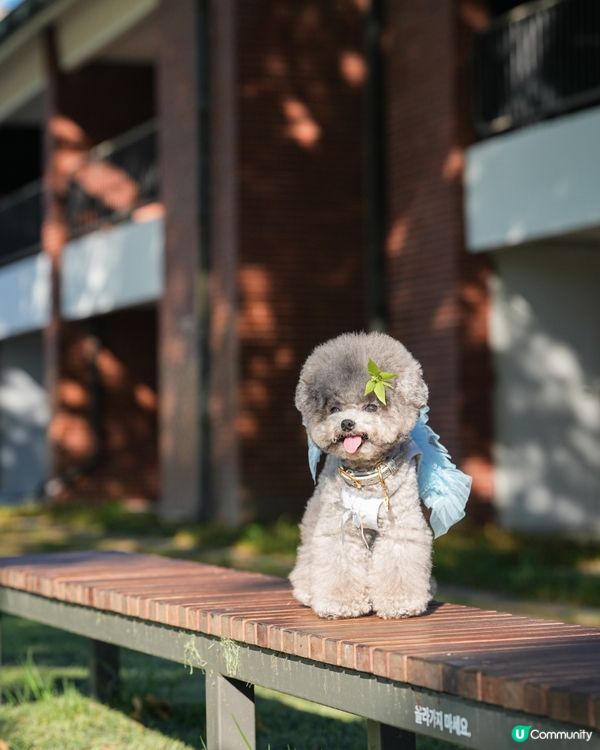 超休閑嘅地方