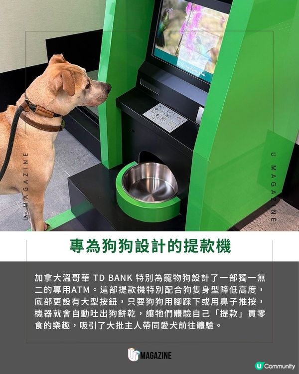 溫哥華銀行設狗狗專屬ATM                                                     