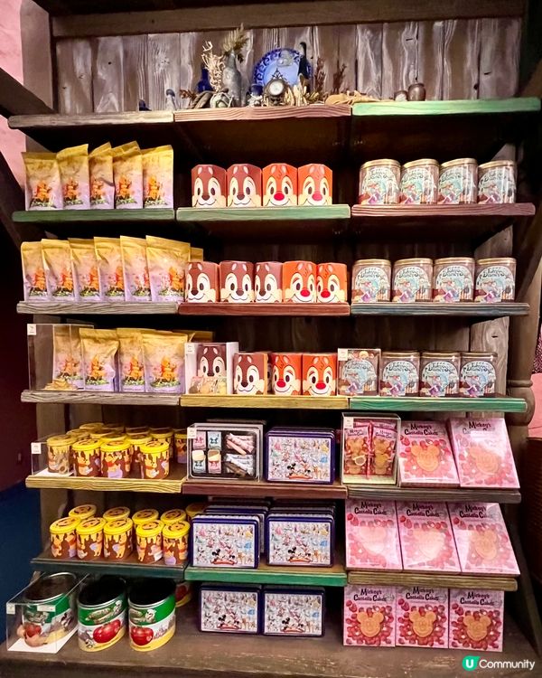 『日本』🏰東京迪士尼瘋搶專屬周邊🛍️掃貨角色限定系列💸