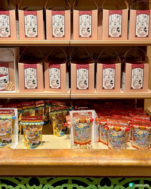 『日本』🏰東京迪士尼瘋搶專屬周邊🛍️掃貨角色限定系列💸