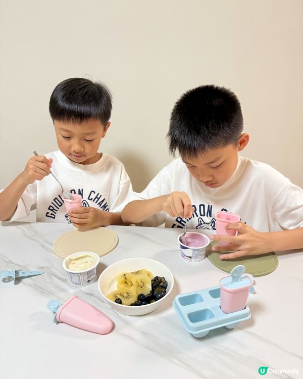 【 暑假消暑神物｡Mövenpick乳酪水果雪條 】 