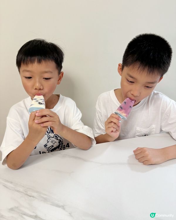 【 暑假消暑神物｡Mövenpick乳酪水果雪條 】 