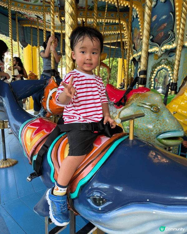 暑假緊係要黎海洋公園玩啦，原來嚟緊係熊貓嘅生日呀，四圍都係熊...