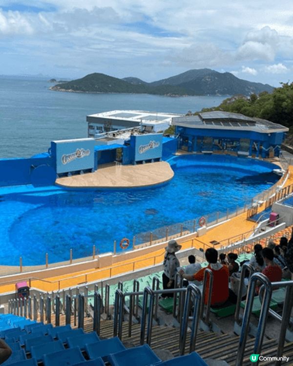 坐海洋公園纜車欣賞美麗風景，觀賞海洋劇場表演，玩樂後吃一頓豐...