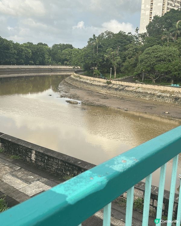 去上水永發食佢地最出名既藥膳雞煲，有好多人專登揸車去果度食，...