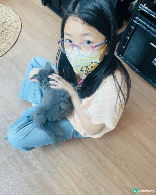 炎炎夏日當然要同可愛的貓貓一起度過啦！一間超級有愛的貓咖，野...