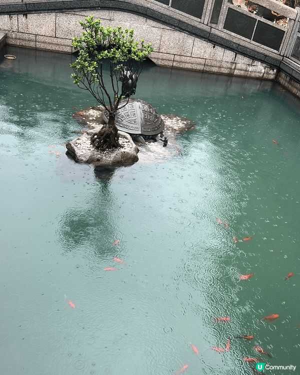 廣東珠海的金台寺越來越靚，廣西的山水很舒服，威尼斯人有靚景