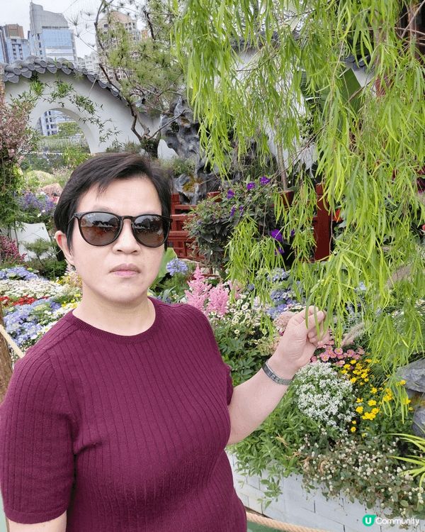 這3張圖片是我和家人一起在維多利亞公園花卉節拍攝的照片。