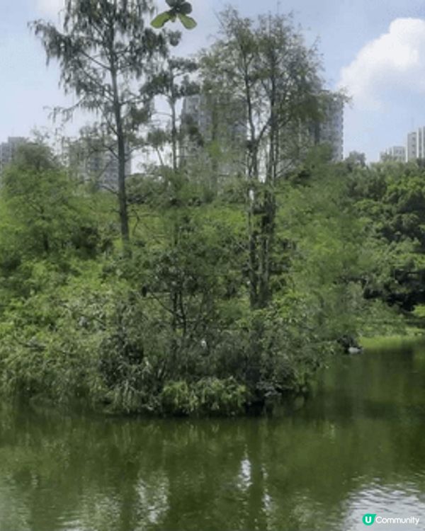 北區公園採用清代揚州式亭台樓閣的園景建築設計，中央部分是一個...