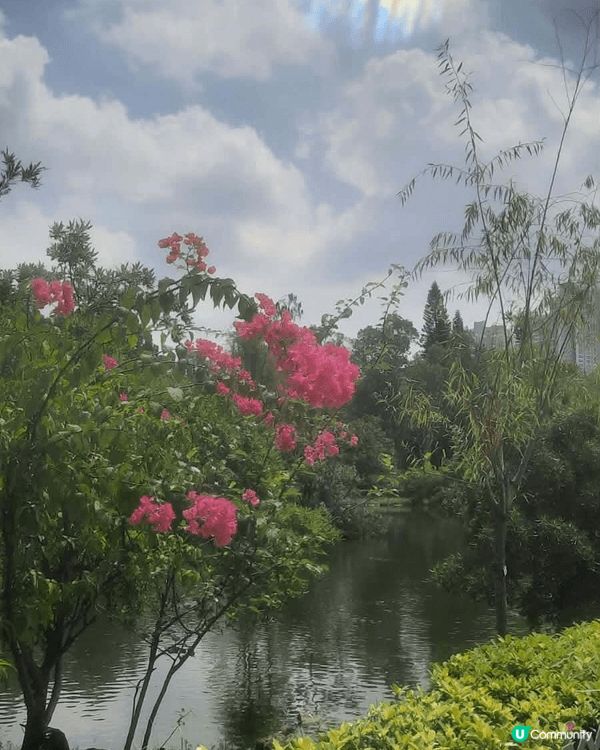 北區公園採用清代揚州式亭台樓閣的園景建築設計，中央部分是一個...