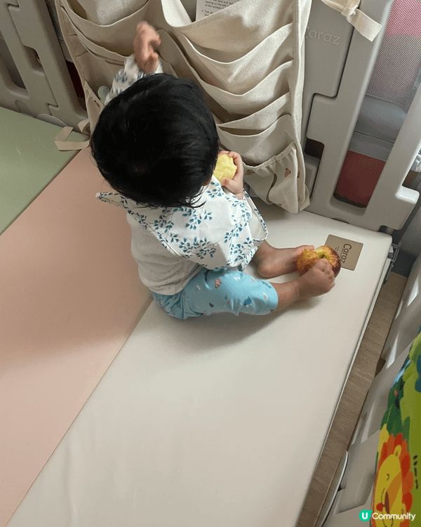 我想推介的育兒好物是圍欄掛袋和粗柄匙羹，因為依款掛袋格數多，...