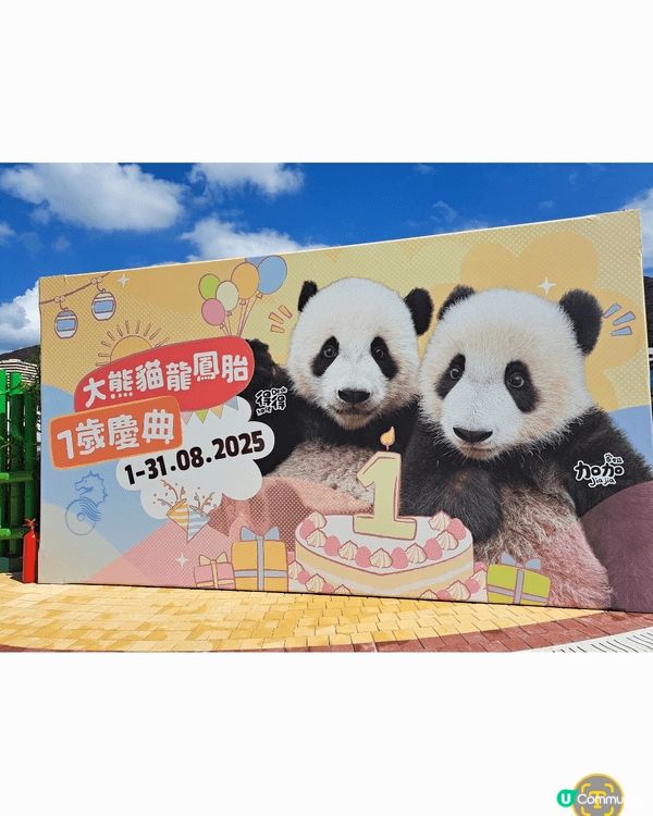 夏天最好食一啲消暑食品，但最期待暑假一定係去海洋公園探訪大熊...