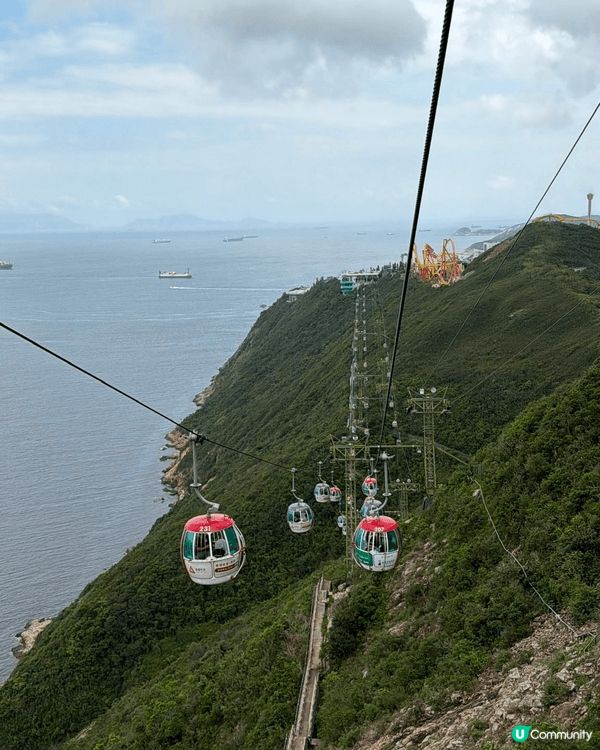 為了慶祝這個特別的生日，我來到依山傍海的香港海洋公園。這裡不...