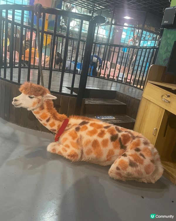 夏日炎炎。雙月灣。美食之旅。。動靜皆宜。。。