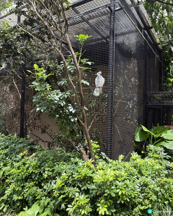 這張照片展示了嘉道理農場的自然美景，是絕佳的親子活動好去處！...