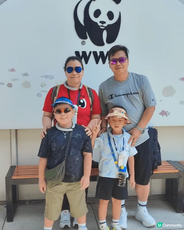 西貢海下灣海岸公園乘坐玻璃底船欣賞海下灣的珊瑚群落與熱帶魚類...