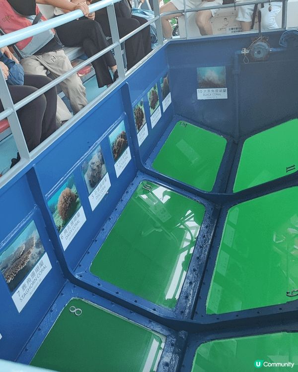 西貢海下灣海岸公園乘坐玻璃底船欣賞海下灣的珊瑚群落與熱帶魚類...