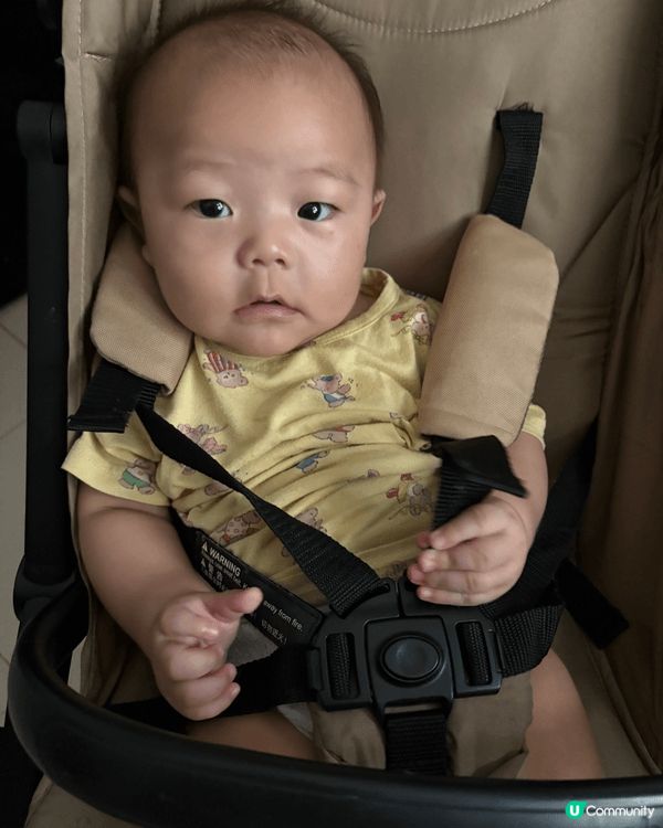 平時都會帶住呢一隻豬仔去行街，都會坐BB車多，呢隻豬仔坐得耐...