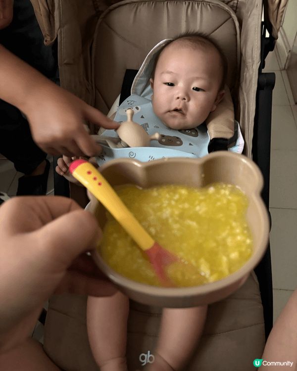平時都會帶住呢一隻豬仔去行街，都會坐BB車多，呢隻豬仔坐得耐...