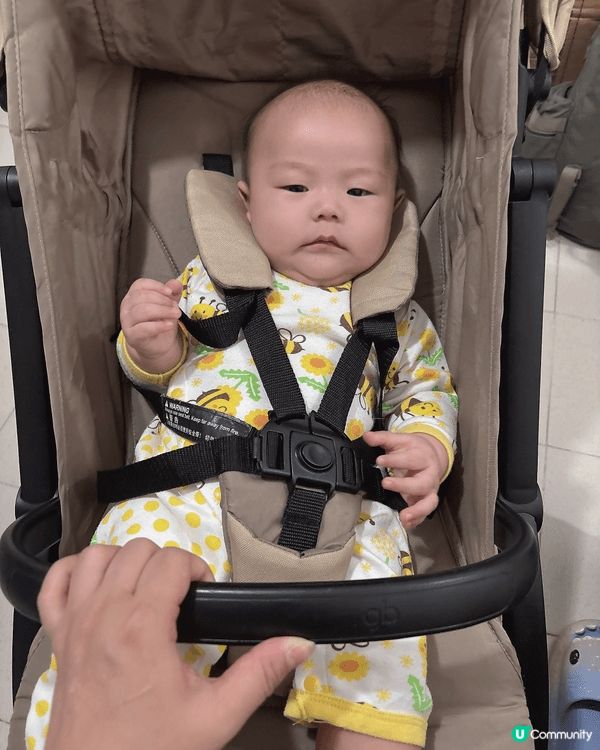 平時都會帶住呢一隻豬仔去行街，都會坐BB車多，呢隻豬仔坐得耐...