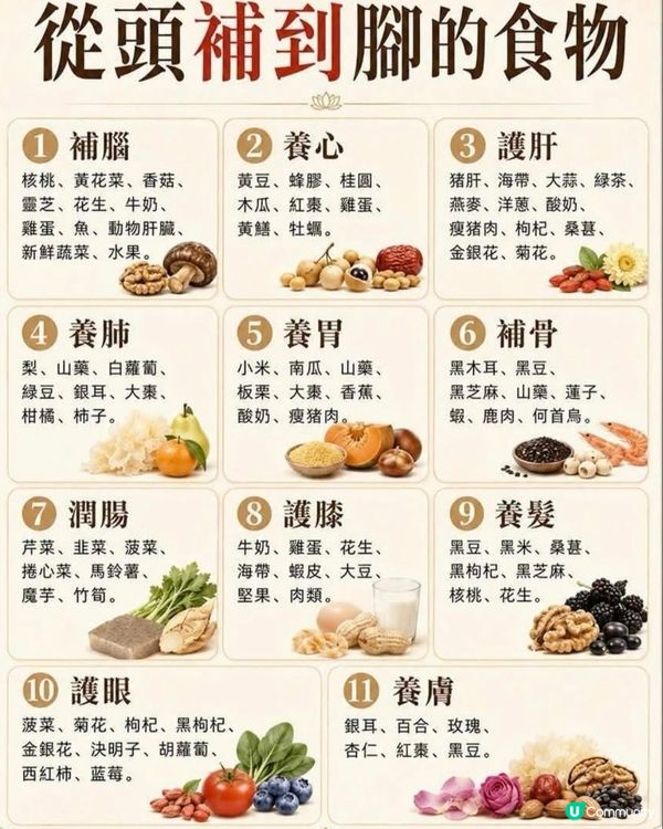 食物