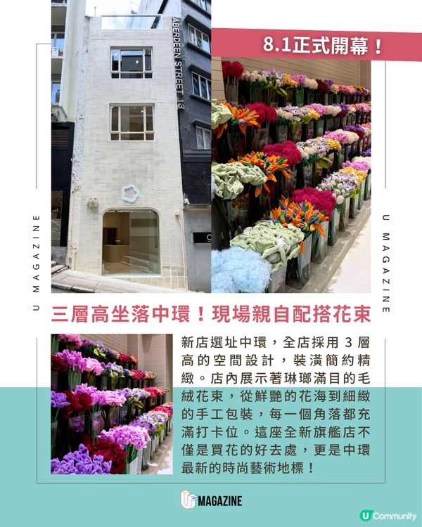 Cj Hendry香港首間 3 層高旗艦花店！捧走永不枯萎毛絨花💐✨