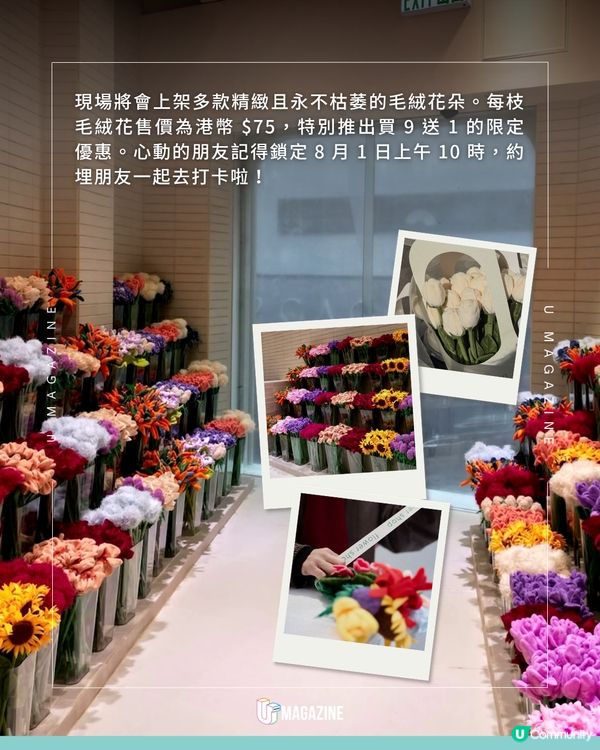 Cj Hendry香港首間 3 層高旗艦花店！捧走永不枯萎毛絨花💐✨